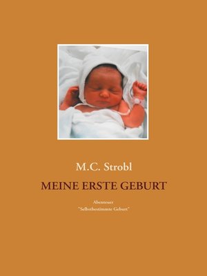 cover image of Meine erste Geburt